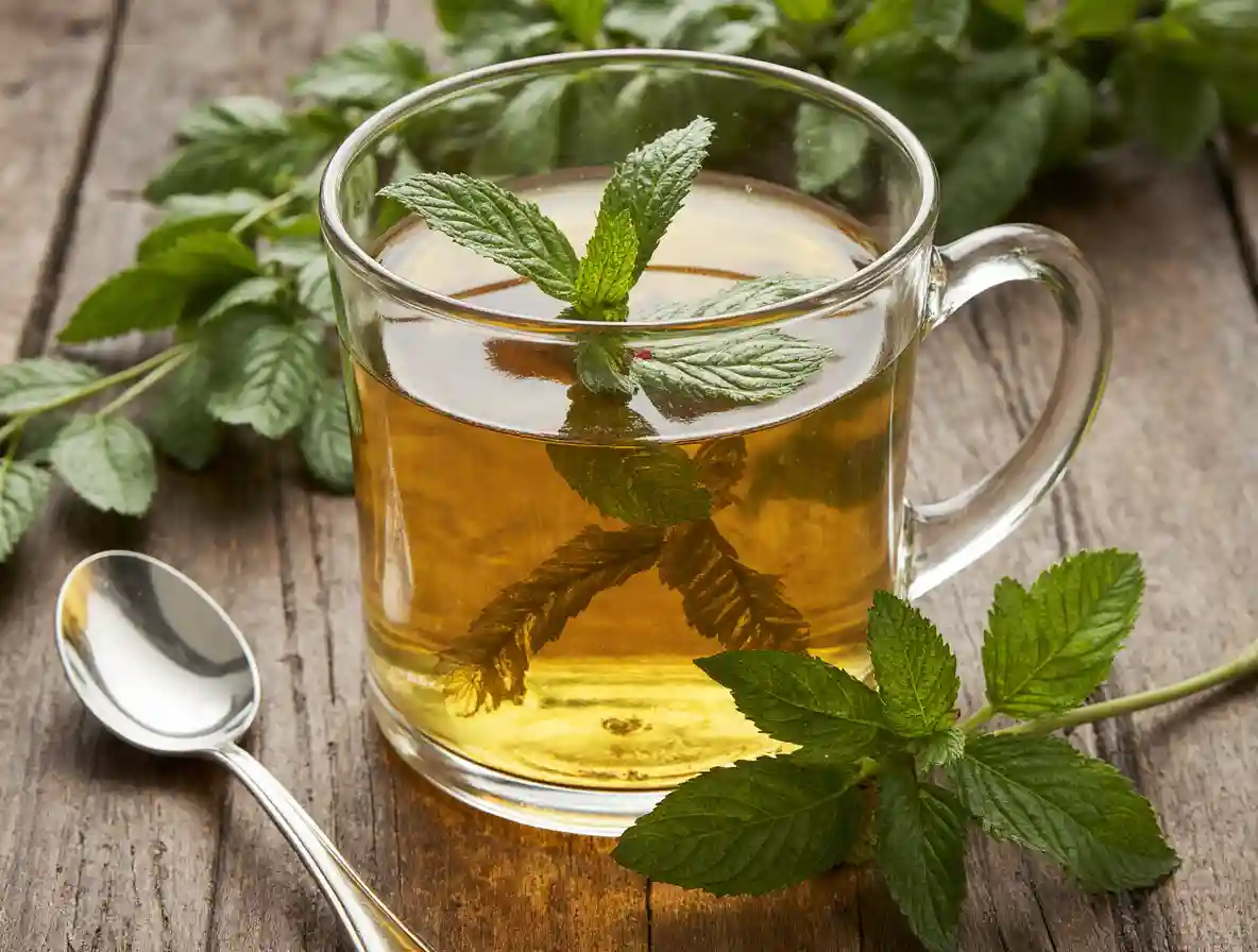 featured-lemon-balm-recipe-better-than-ozempic featured lemon balm recipe better than ozempic