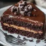 chocolate ooey gooey cake 2026 01 30 222748 683x1024 1