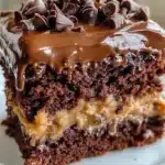 German Chocolate Poke Cake 5 german chocolate poke cake 2026 01 23 214718 819x1024 1